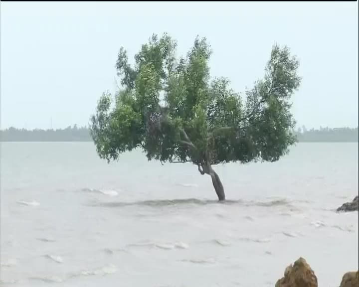 ঘূর্ণিঝড়ের মোকাবিলায় প্রস্তুত রাজ্য বিদ্যুত্ বন্টন সংস্থা।করোনা-আবহে হাসপাতালে বিদ্যুত্ বিপর্যয় ঠেকাতে প্রস্ততি।সব ডিভিশনেই ট্রান্সফর্মার ও ডিজেল সেটের ব্যবস্থা। বিদ্যুত্ ভবনে ২৪ ঘণ্টা থাকবেন অফিসার-কর্মীরা।বিদ্যুত্মন্ত্রীর দফতরের হেল্পলাইন চালু।হেল্পলাইন নম্বর ৭৪৪৯৩০০৮৪০, ৯৪৩৩৫৬৪১৮৪।
