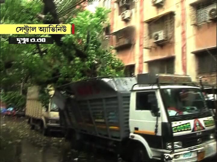 Tree Uprooted in Amphan In Kolkata কাকদ্বীপ, দিঘায় তাণ্ডব চাালিয়ে উমপুন কলকাতায় ঢোকার আগেই ধ্বংসলীলা শুরু, নানা জায়গায় ভাঙল গাছ, হোর্ডিং