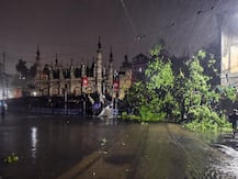 উমপুনের তাণ্ডবে তছনছ কলকাতা, বিধ্বস্ত দুই পরগনা, গেল একাধিক প্রাণ