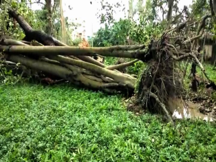 Cyclone Amphan wreaks havoc on Botanical gardens, acute drinking water problem in Howrah ঘূর্ণিঝড় উমপুনের প্রভাব: কোথাও পানীয় জলের সঙ্কট, কোথাও বাঁধ ভেঙে প্লাবিত এলাকা, জেলায় জেলায় ক্ষোভ স্থানীয়দের