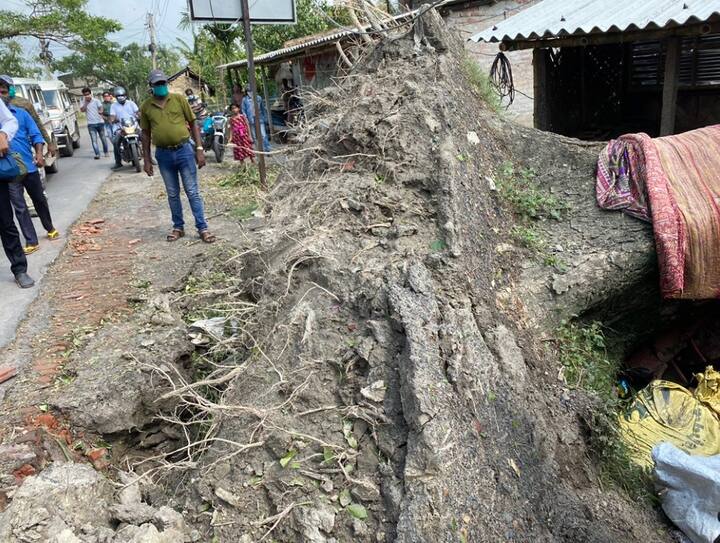 বারুইপুর ও সোনারপুর এলাকায় উপড়ে গিয়েছে অজস্র গাছ। সেই ছবিও ট্যুইট করলেন মিমি।