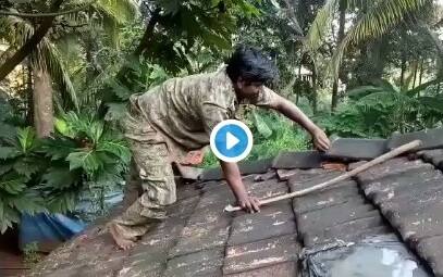 দেখুন ভিডিও: টালির চাল থেকে গোখরো উদ্ধার বন বিভাগের আধিকারিকের Video of rescue of a cobra by forest official in Goa দেখুন ভিডিও: টালির চাল থেকে গোখরো উদ্ধার বন বিভাগের আধিকারিকের