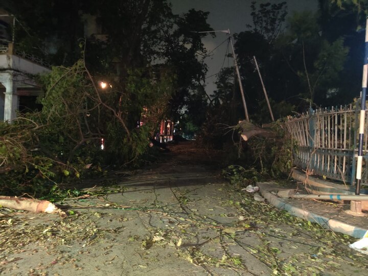 সাদার্ন অ্যাভিনিউ