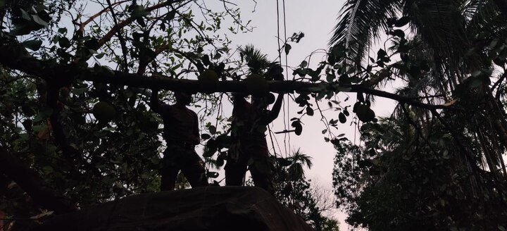 সাদার্ন অ্যাভিনিউ