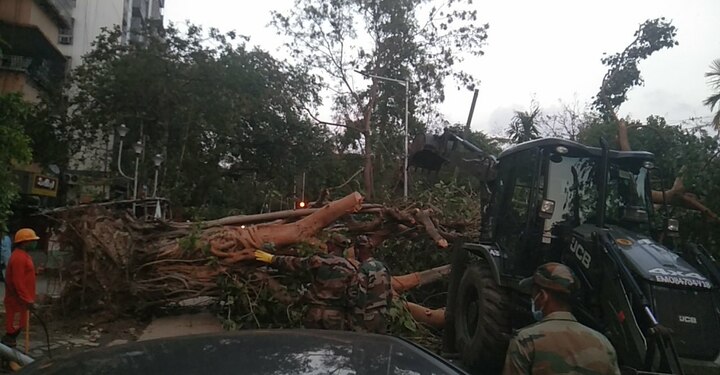 সাদার্ন অ্যাভিনিউ