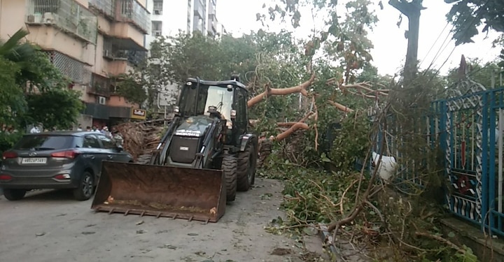 সাদার্ন অ্যাভিনিউ