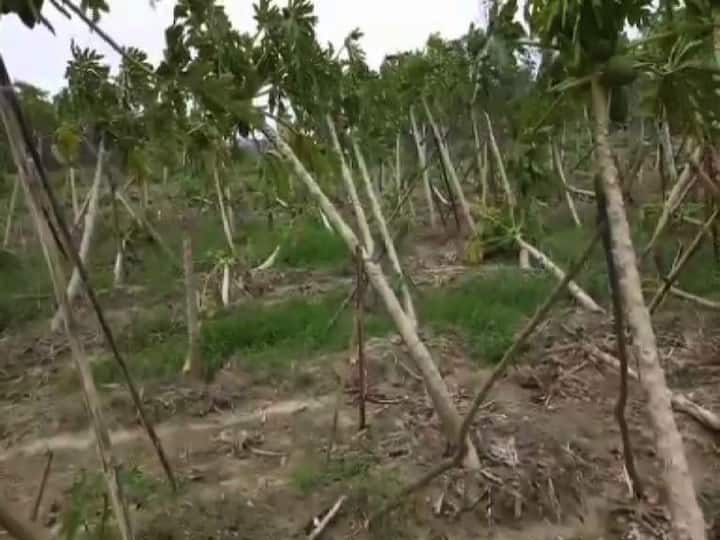 কুলতলি ও মৈপীঠের ছবিতেও নেই কোনও বদল। সবজি খেত এখন যেন জলাভূমি। 