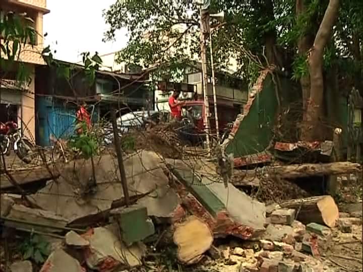 আলিপুর চিড়িয়াখানায় চারদিকে এখন ঘূর্ণিঝড়ের তাণ্ডবলীলার চিহ্ন। ভেঙে গিয়েছে অস্ট্রিচ এর এনক্লোজার। 
