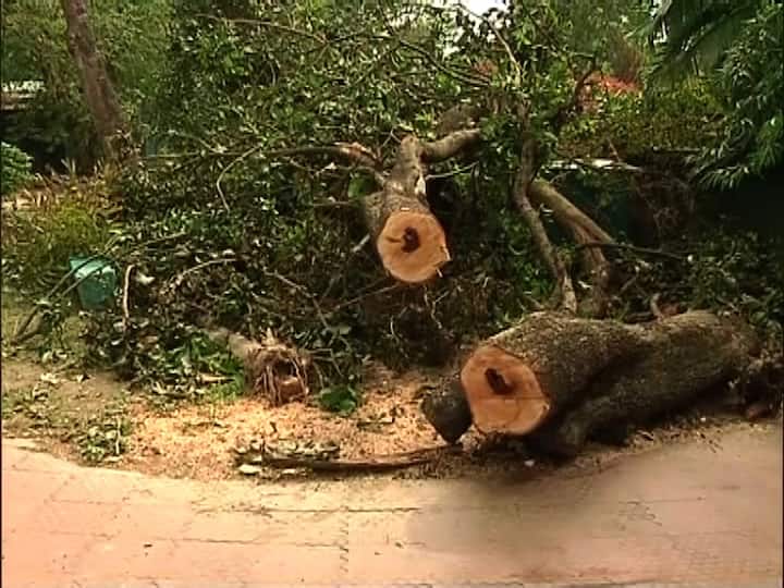 ৪৬ একর জায়গা নিয়ে আলিপুর চিড়িয়াখানা। 
