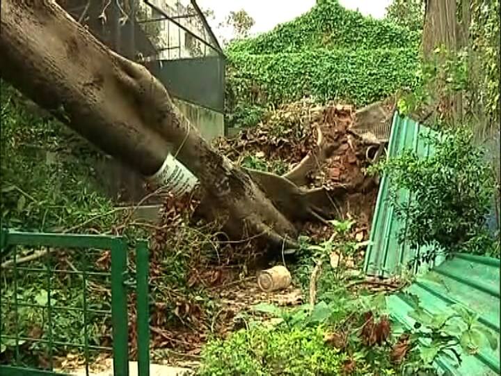 ১৮৭৬ সাল থেকে এত বড় বিপর্যয়ের মুখে আগে কখনও পড়েনি আলিপুর চিড়িয়াখানা। 