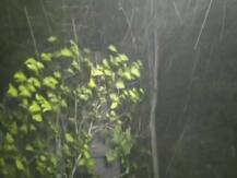 গাছ পড়ে বন্ধ রাস্তা, একাধিক মৃত্যু! ঘণ্টায় ৯৬ কিমি বেগে কালবৈশাখীতে ফের লন্ডভন্ড রাজ্যের চেনা ছবি!