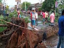 গাছ পড়ে বন্ধ রাস্তা, একাধিক মৃত্যু! ঘণ্টায় ৯৬ কিমি বেগে কালবৈশাখীতে ফের লন্ডভন্ড রাজ্যের চেনা ছবি!