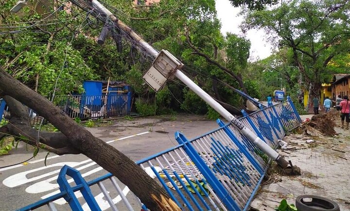 Kolkata After Cyclone Amphan: Replantation and Planning will make city sustainable উমপুন-পরবর্তী কলকাতায় স্রেফ সবুজায়নই যথেষ্ট নয়, প্রয়োজন সুবিন্যস্ত পরিকল্পনা, নকশার