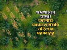 ৪ কোটি পঙ্গপাল একসঙ্গে...! আক্রমণ ঠেকাতে কী পদক্ষেপ নিল কেন্দ্র?