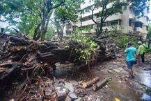 নিসর্গের তাণ্ডব: কয়েক ঘণ্টার ঝড়েই লন্ডভন্ড মহারাষ্ট্র