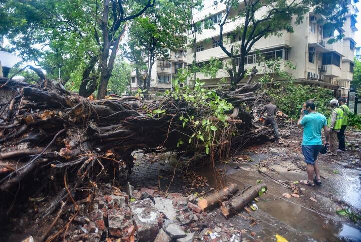 প্রশাসন সূত্রে খবর, পুণেতে প্রায় ১০০টি কাঁচা বাড়ি ঘূর্ণিঝড়ের কারণে ভেঙে পড়েছে।