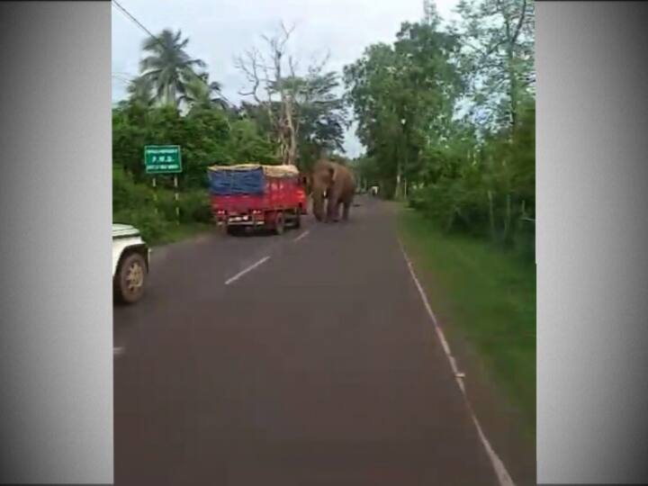 ঝাড়গ্রামের কলাবনিতে দাঁতাল হাতির হাত থেকে অল্পের জন্য রক্ষা একটি ট্রাক ও একটি গাড়ির আরোহীদের।