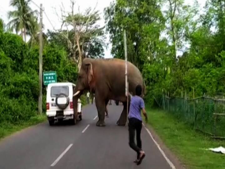 এই সময় স্থানীয় বাসিন্দারা বাঁশ, লাঠি নিয়ে হইচই শুরু করলে হাতিটি ফের জঙ্গলে ফিরে যায়। 