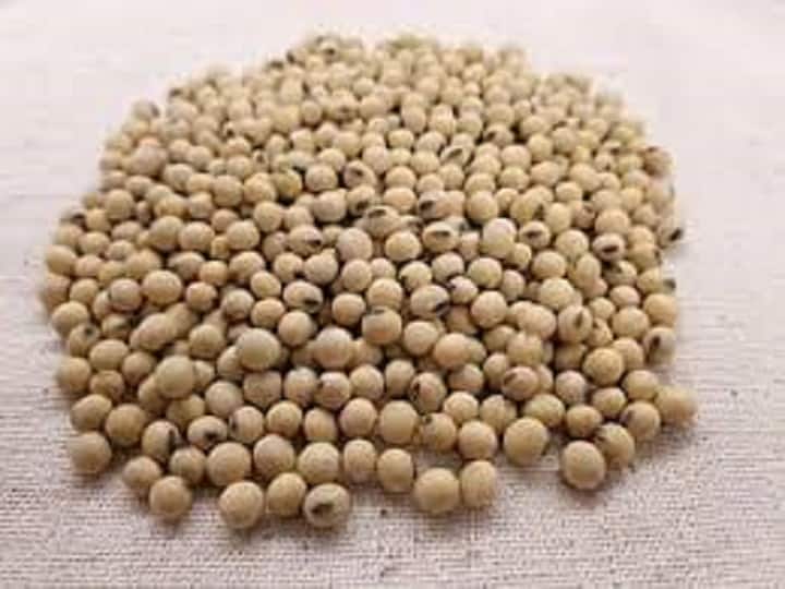 Know the benefits of Soybean মাছ-মাংস খান না? খাদ্যতালিকায় অবশ্যই থাকুক সয়াবিন