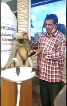 কর্ণাটকে চিকিৎসার জন্য হাসপাতালে চলে এল হনুমান, ভিডিও ভাইরাল সোশ্যাল মিডিয়ায়