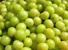 হৃদযন্ত্র, ফুসফুস ভাল রাখে, দৃষ্টিশক্তি বাড়ায়, জেনে নিন নিয়মিত আমলকি খাওয়ার উপকারিতা