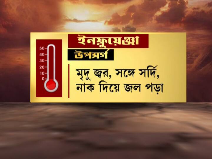 মৃদু জ্বর, সঙ্গে সর্দি,  নাক দিয়ে জল পড়া।