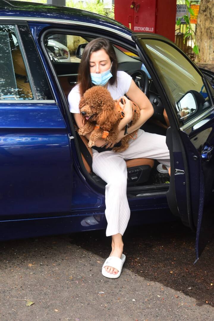 নিজের পোষ্যকে নিয়ে বেরিয়েছিলেন জর্জিয়া।