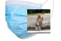 করোনায় ভয়! কাপড় দিয়ে মুখ ঢাকছে বানর, দেখুন ভিডিও