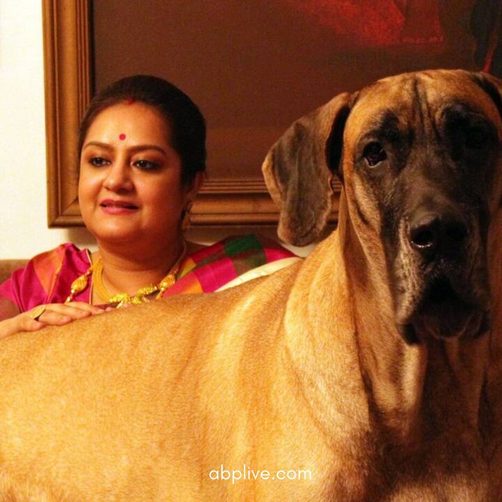 বৃহস্পতিবার বিবাহবার্ষিকীতে স্বামী অগ্নিদেব চট্টোপাধ্যায়কে নিয়ে একটি প্রেমময় পোস্ট করেছেন সুদীপা।