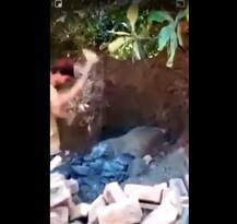 পাকিস্তানে প্রাচীন বুদ্ধমূর্তি ভাঙচুর, গ্রেফতার ৪