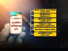 শুধু ইংল্যান্ড বা ভারত নয়, বিশ্বের আর কোন দেশে চলছে করোনা-টিকা তৈরির কাজ? রয়েছে কোন পর্যায়ে? জেনে নিন...
