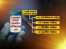 শুধু ইংল্যান্ড বা ভারত নয়, বিশ্বের আর কোন দেশে চলছে করোনা-টিকা তৈরির কাজ? রয়েছে কোন পর্যায়ে? জেনে নিন...