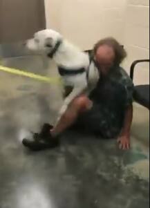  দীর্ঘ দিন পর দেখা, আশ্রয় শিবিরে গৃহহীন প্রভুর কোলে ঝাঁপিয়ে পড়ল পোষা কুকুর, ভিডিও ভাইরাল