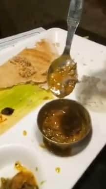 দিল্লিতে নামী রেস্তোরাঁর সম্বরে মরা টিকটিকি! দায়ের এফআইআর