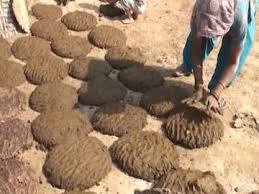 Godhan Nyay Yojana Over 100 kg cow dung stolen in Chhattisgarh village নয়া সরকারি স্কিম ঘোষণার পরই ১০০ কিলো গোবর চুরি ছত্তিশগড়ে! কেন? পড়ুন