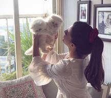 মাস কম স্নাতক, সাংবাদিক জ্যাকলিনই এখন বলিউডের ‘কিক গার্ল’