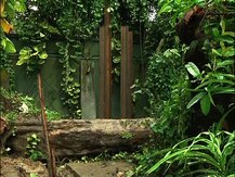 লকডাউনে বিলবোর্ড লাগানোর কাজ করার সময় চিড়িয়াখানায় বিদ্যুৎস্পৃষ্ট হয়ে মৃত ২ বেসরকারি সংস্থার কর্মী, আশঙ্কাজনক ১