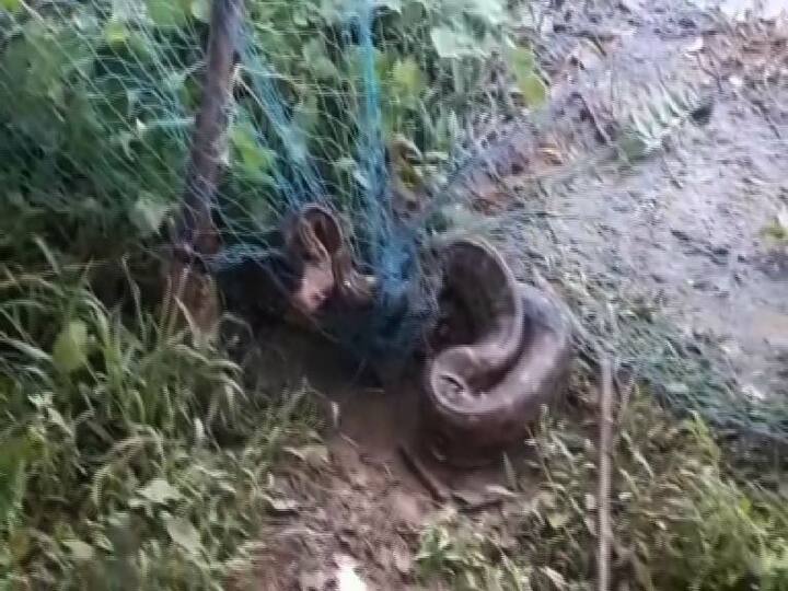 প্রায় ১০ ফুট লম্বা এই সাপকে দেখতে ভীড় জমায় গ্রামবাসীরা।