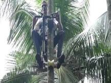 নিয়মিত তাড়ি খেলে ক্যান্সার-সহ ১৫ রোগ সারবে, দাবি তেলঙ্গানার মন্ত্রীর