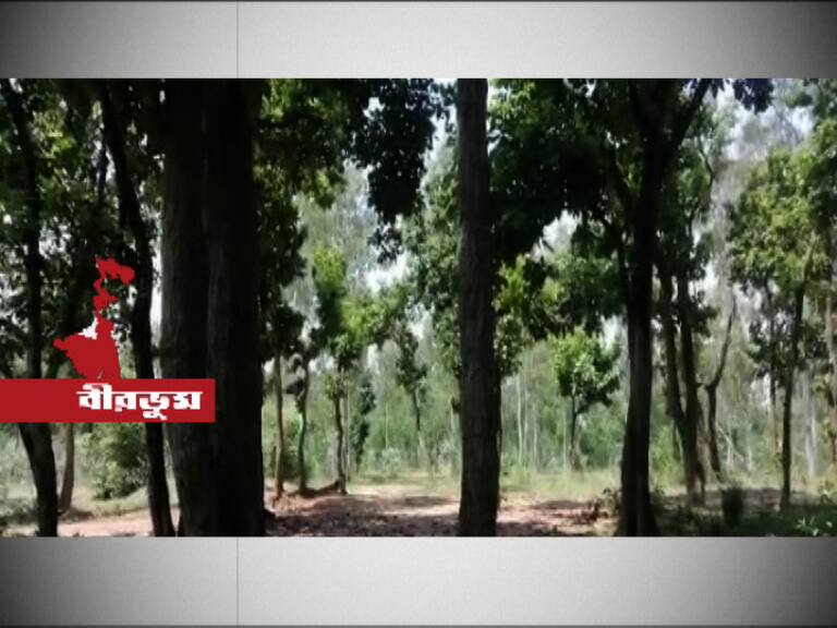 Old man allegedly committed suicide for unable to pay loan বীরভূমে জঙ্গল থেকে উদ্ধার হয় বৃদ্ধের ঝুলন্ত দেহ,ঋণের ভারে আত্মঘাতী?