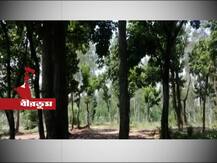 বীরভূমে জঙ্গল থেকে উদ্ধার হয় বৃদ্ধের ঝুলন্ত দেহ,ঋণের ভারে আত্মঘাতী?