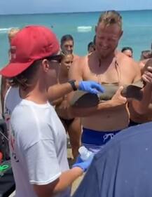 কামড়ে ধরে আছে হাঙর, কোলে নিয়ে ঠায় নির্লিপ্ত মুখে দাঁড়িয়ে যুবক!