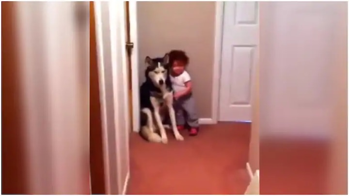 Toddler, scared of vacuum cleaner, hugs dog for protection ভ্যাকুয়াম ক্লিনারের শব্দে ভয় পেয়ে পুঁচকে জড়িয়ে ধরল পোষা কুকুরকে, দেখুন ভিডিও