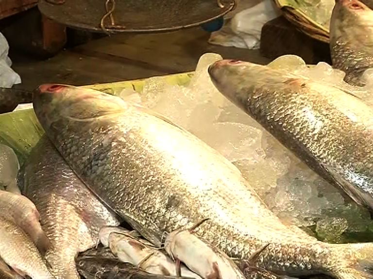 একের পর এক দুর্যোগ, সাগরে যেতে না পারায় বাজারে দেখা নেই ইলিশের