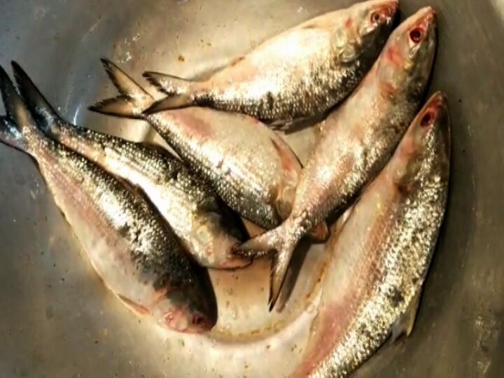 Kolkata market hilsa fish Crisis শ্রাবণ শেষেও কলকাতার বাজারে ইলিশের আকাল, জোগান নিয়ে এখনও অনিশ্চিত বিক্রেতারা