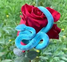 গোলাপের ওপর বিষাক্ত বিরল নীল সাপ, সোশ্যাল মিডিয়ায় ভাইরাল ভিডিও