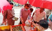 উত্তর কলকাতায় সিপিএম-এর ‘শ্রমজীবী বাজার’, ৬৫-র পেঁয়াজ ৪০ টাকায়, আলু ৩০-এ