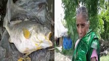 ‘ভগবান মুখ তুলে চেয়েছেন’, নদীতে ভেসে আসা  ৬০ কেজি ওজনের বিরল তেলে ভোলা মাছ কপাল ফেরাল বিধবা বৃদ্ধার