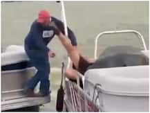 নৌকায় চড়ে বিয়ের প্রস্তাব দিতে গিয়ে এ কী বিপত্তি! জলে পড়লেন পাণীপ্রার্থী, ভিডিও ভাইরাল