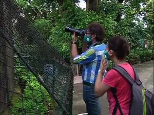 লকডাউনে ফাঁকা চিড়িয়াখানা, মনমরা বাবু, ফের লোকজন দেখেই আহ্লাদে আটখানা